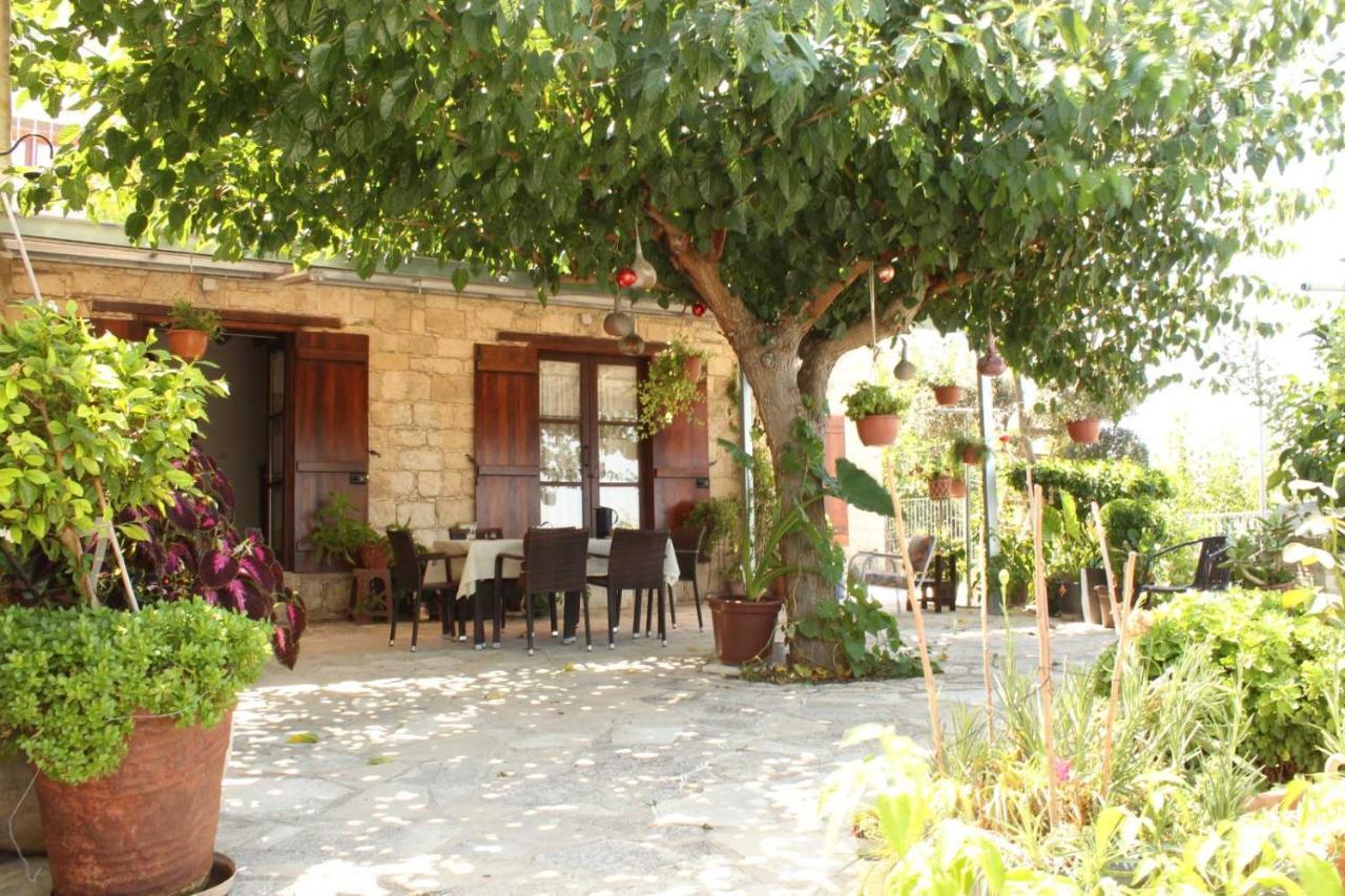 Georgia'S House Panzió Fíti Kültér fotó